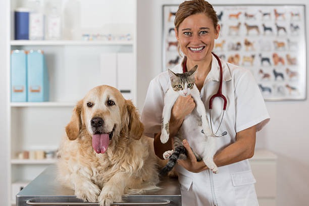 When Should You Take Your Pet to an Animal Hospital?