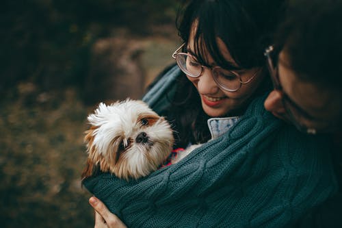 How to Create the Perfect Preventive Care Schedule for Your Pet