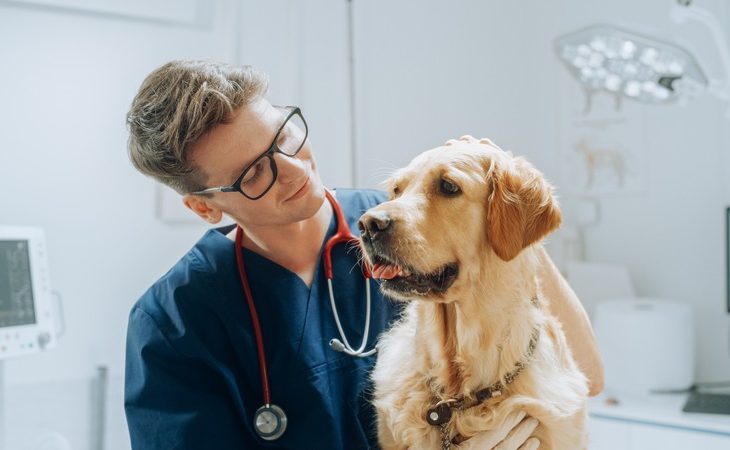 Could Poor Pet Dental Health Affect Their Overall Well-being?