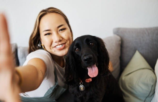 What to Do if Your Pet Is Having an Emergency?