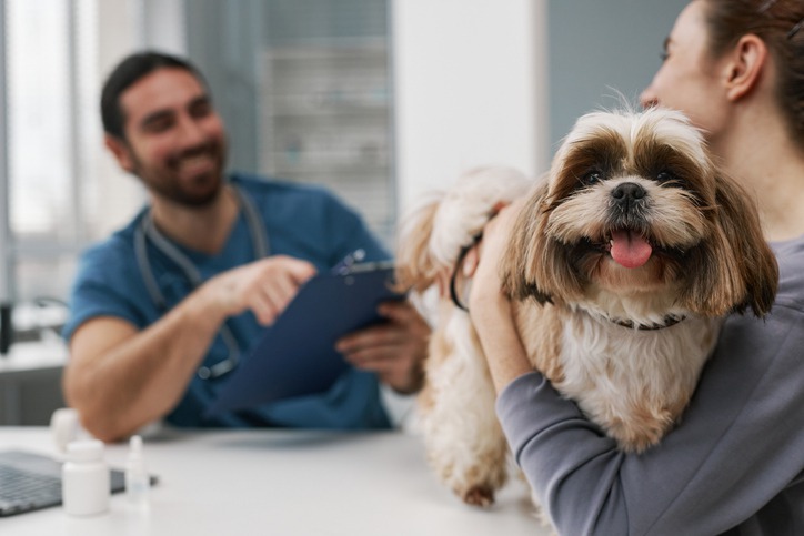 Essential Veterinary Services: A Comprehensive Guide for New Pet Owners