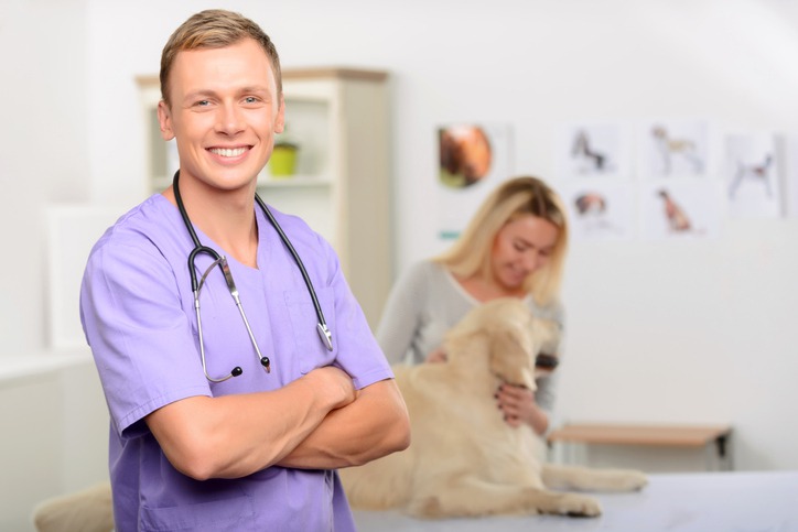 Finding and Accessing Specialized Pet Oncologists Near You